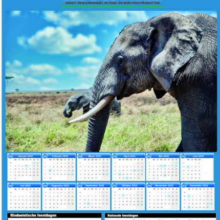 Jaar kalender 2025